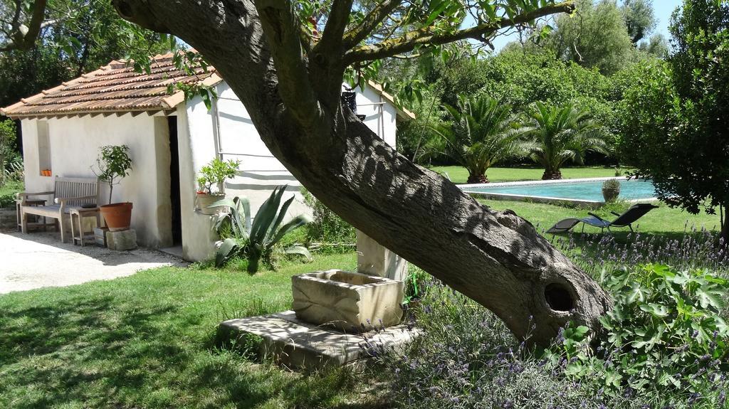 Bed and Breakfast Mas De Bouvet En Camargue Albaron Exterior foto