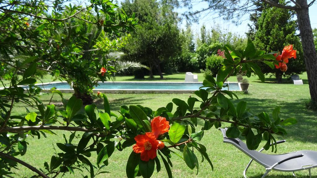 Bed and Breakfast Mas De Bouvet En Camargue Albaron Exterior foto