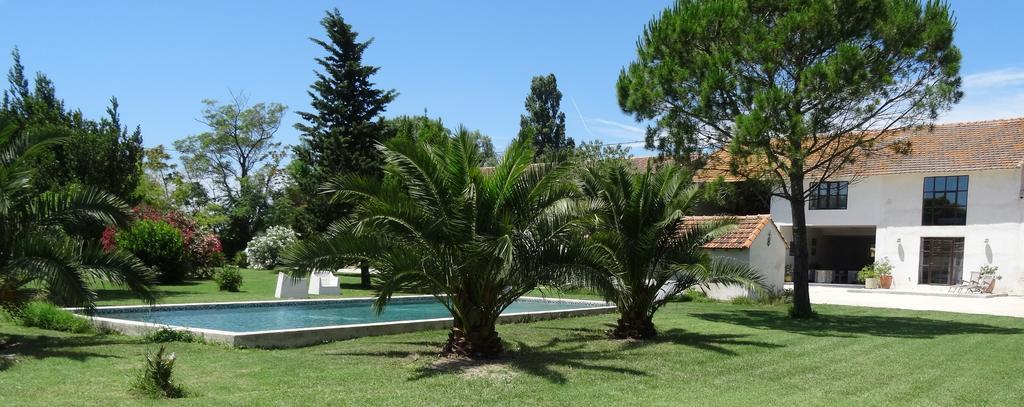 Bed and Breakfast Mas De Bouvet En Camargue Albaron Exterior foto
