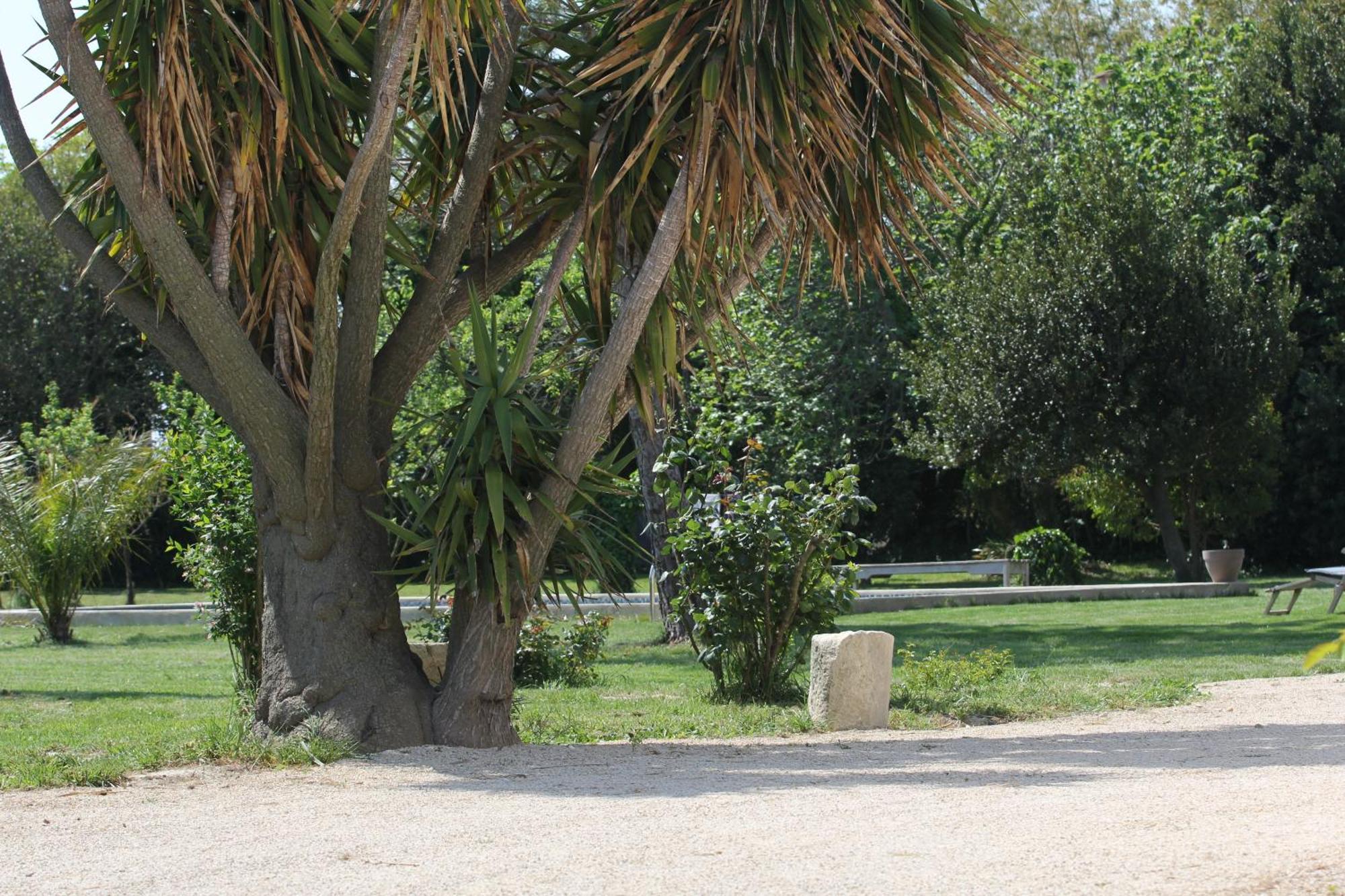 Bed and Breakfast Mas De Bouvet En Camargue Albaron Exterior foto